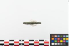 Foto von Bronzearmreif (NHMW-PRAE-023761)